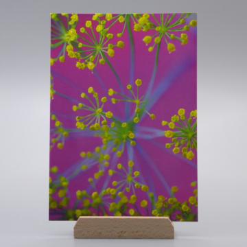 Floral K-019